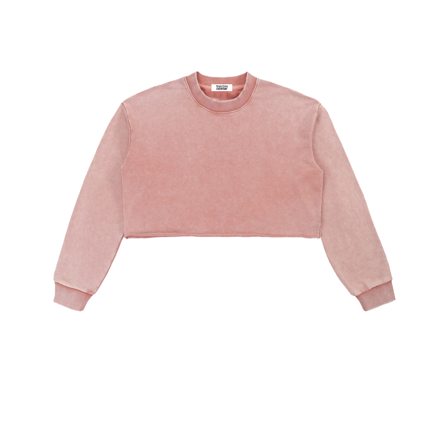 EVERYDAY Snow Washed Raw Edge Cropped Sweatshirt
