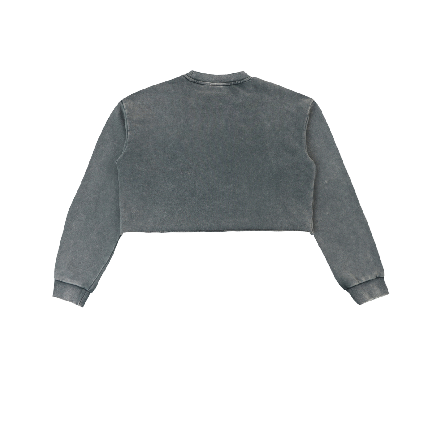 EVERYDAY Snow Washed Raw Edge Cropped Sweatshirt